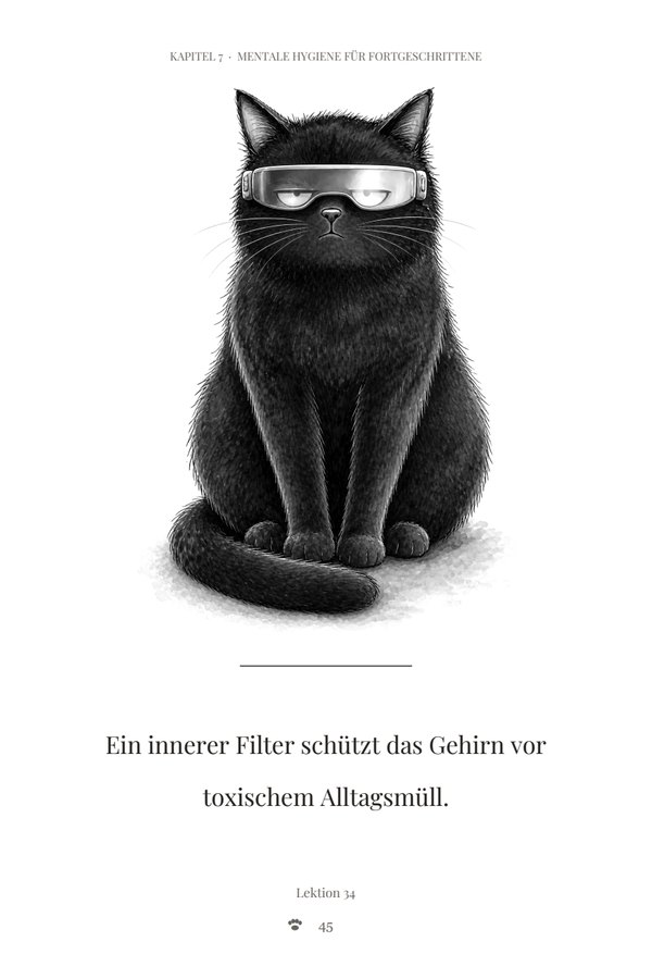 Leseprobe Seite 3: Katze mit Sonnenbrille